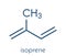 Isoprene, rubber polyisoprene building block monomer. Skeletal formula.