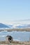 Isortoq island in Greenland view towards ice sheet