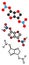 Isosorbide dinitrate (ISDN) vasodilator drug molecule. Used in treatment of heart related chest pain