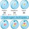 Isotopes of hydrogen.