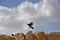 Israel, Birds on the rocks