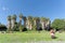 Israel. - February 17.2017. Palm Grove on the shore of the Sea of Galilee in Israel.