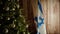 Israel flag near Christmas tree