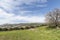 Israel. Galilee. Nimrod fortress.