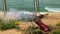 Israel Independence Day, barbecue grill on the shores of the Mediterranean Sea. HD