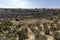 Israel - Jerusalem - Valley of Josaphat - Mount of Olives Cemetery