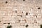 Israel. The Jerusalem wailing wall