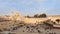 Israel, Jerusalem western wall. The Western Wall, Wailing Wall, Jewish shrine, old city of Jerusalem, Orthodox Jews pray