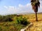 Israel, Sea of Galilee, Tabgha, Church of the Multiplication