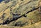 Israeli national park Gamla fortress at the Golan Heights