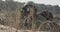 Israeli soldier crawling from cover and looking through binoculars