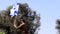 Israeli soldier salutes the waving Israel Flag. Patriotic video concept: Israel Independence Day
