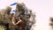 Israeli Soldier, Sergeant, Salutes the Flag of Israel by raising it up towards the sky