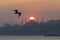 Istanbul mosque silhouettes and sunset./ Turkey