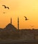 Istanbul, mosque, sunset, seagulls