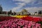 Istanbul, Taksim / Turkey - April 7 2018: Beautiful colorful tulip flowerbeds, city landscaping in Taksim Square, Beyoglu,  Istanb