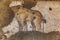 Istanbul, Turkey, 05.24.2019: Ancient mural image of an animal in the mosaic museum. Close-up