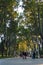 ISTANBUL, TURKEY - AUGUST 21, 2018: people walk in Park Gulhane in evening summer day