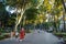 ISTANBUL, TURKEY - AUGUST 21, 2018: people walk in Park Gulhane among trees sycamore