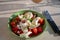 Itaian vegetarian food, fresh caprese salad made with white soft italian mozzarella cheese, red tomato and green basil