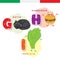 Italian alphabet. Cat, hamburger, lettuce. Vector letters and characters.