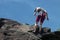 Italian alps - june 2020: a climber clinging to a spur of rock looks beneath her