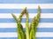 Italian asparagus on table cloth