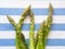 Italian asparagus on table cloth