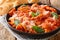Italian braised Tripe in tomato sauce with cheese and mint close-up in a plate. horizontal