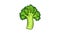 Italian broccoli icon animation