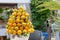 Italian cafe decoration. Big fresh bouquet of many yellow lemons in metallic silver vase. Summer bright decor of fruits