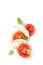 Italian caprese salad - modern artistic composition