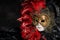 Italian carnival venetian mask. Mysterious event, party