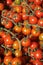 Italian cherry tomatoes on the vine