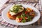 Italian chicken Parmigiana and fresh vegetable salad. Horizontal