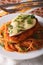 Italian chicken Parmigiana and pasta close up on a plate. Vertical