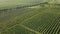 Italian Countryside Beautiful Farms and Vineyards Beautiful Aerial View