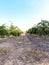 Italian Countryside Orchards