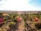 Italian Countryside Orchards