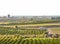 Italian Countryside Orchards