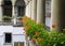 Italian courtyard with flowers