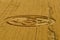 Italian crop circle