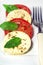 Italian cuisine - capreze