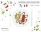 Italian Cuisine. European national dish collection. Beer tiramisu isolated on white, infographic