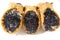 Italian culinary baking sweet dessert Cannoli Sicilian