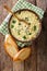 Italian egg soup stracciatella with farfalline pasta and parmesan close-up. Vertical top view