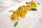 Italian food recipes, fresh stuffed pasta Agnolotti del plin with butter and sage sauce