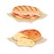 Italian food traditional dishes set. Panini and ciabatta bread vector illustration