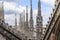 Italian Gothic - spires of Cathedral of Milan