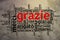 Italian - Grazie, Open Word Cloud, Thanks, Grunge Background